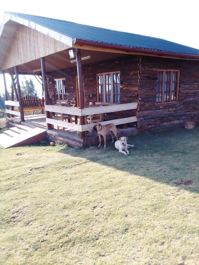 The Wonky House Timau Exterior foto